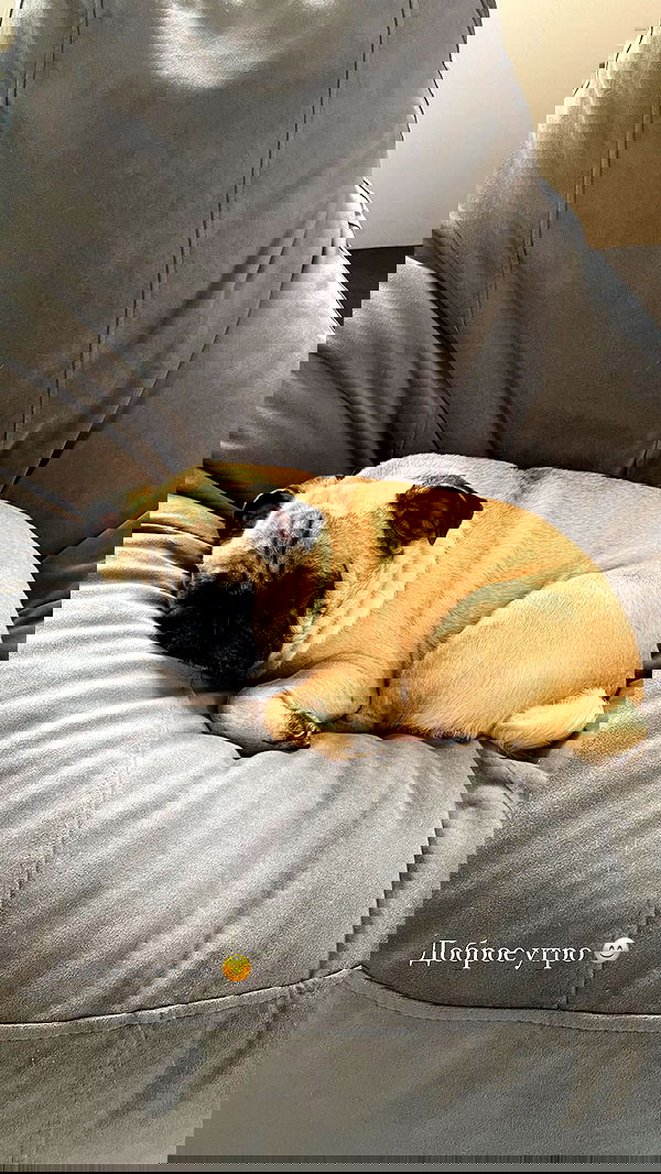 nyityam nyityam archive image