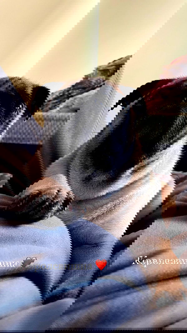 nyityam nyityam archive image