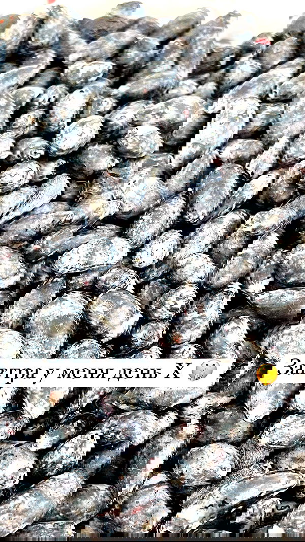 nyityam nyityam archive image