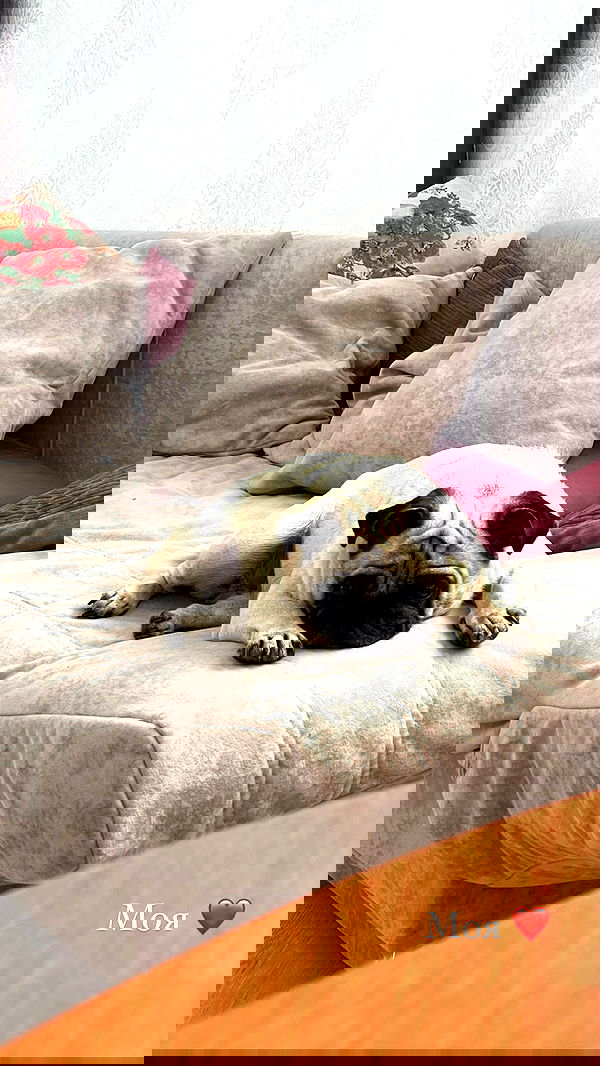 nyityam nyityam archive image