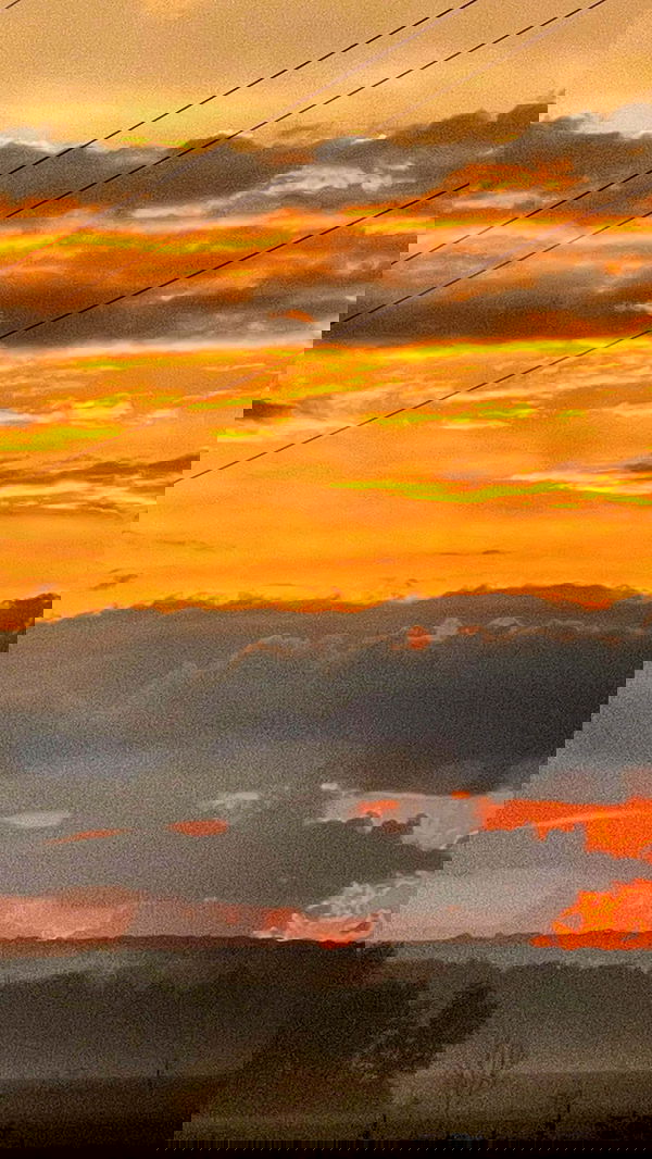 nyityam nyityam archive image