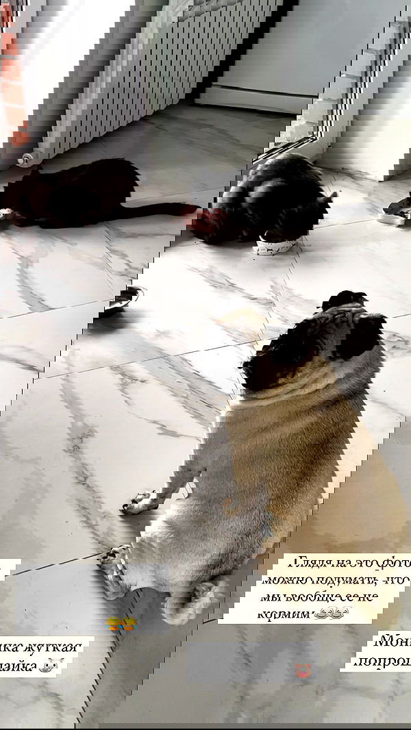 nyityam nyityam archive image