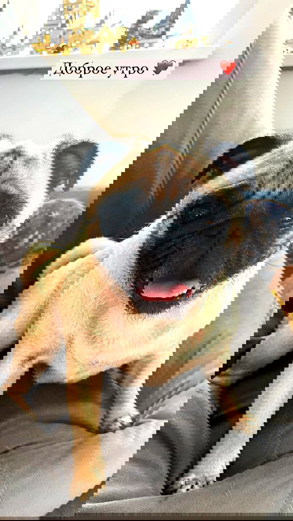 nyityam nyityam archive image