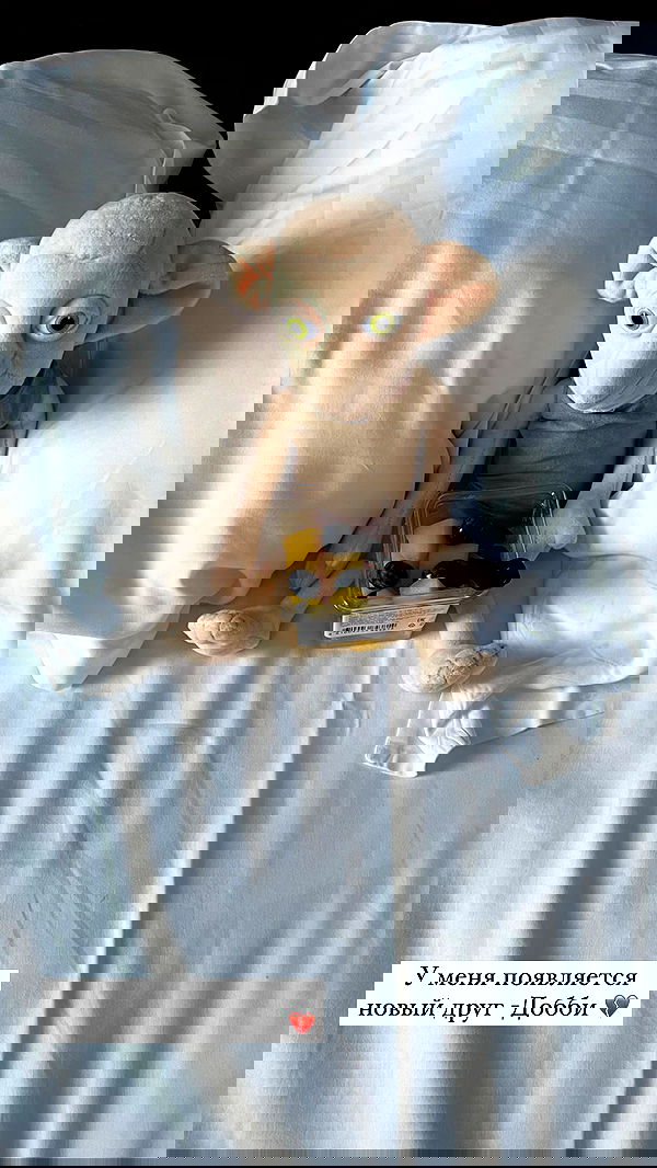 nyityam nyityam archive image