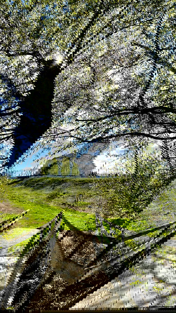 nyityam nyityam archive image