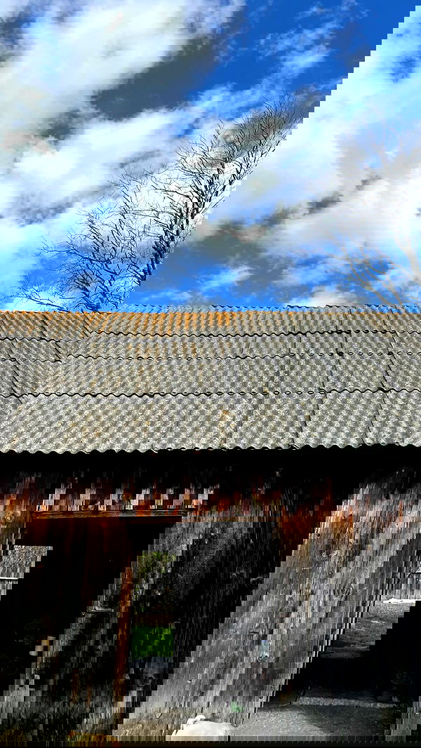 nyityam nyityam archive image