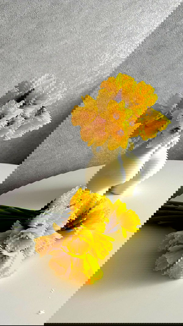 nyityam nyityam archive image