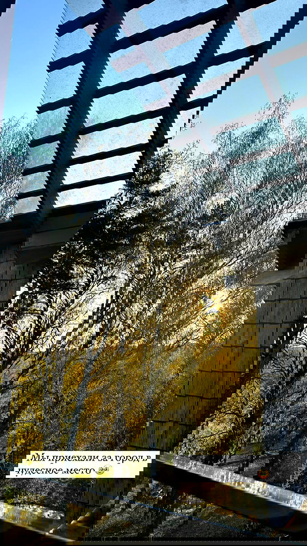 nyityam nyityam archive image