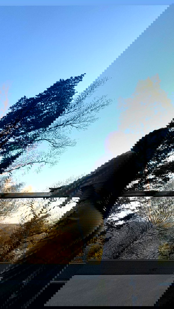 nyityam nyityam archive image