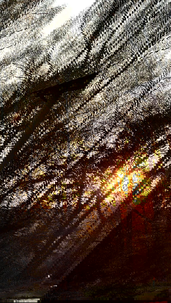 nyityam nyityam archive image