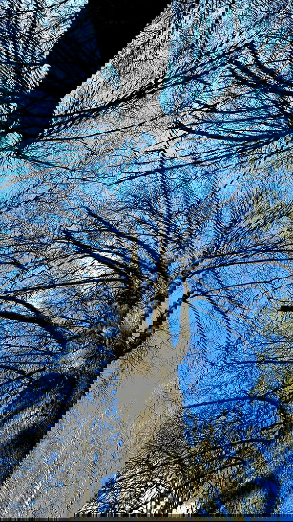 nyityam nyityam archive image