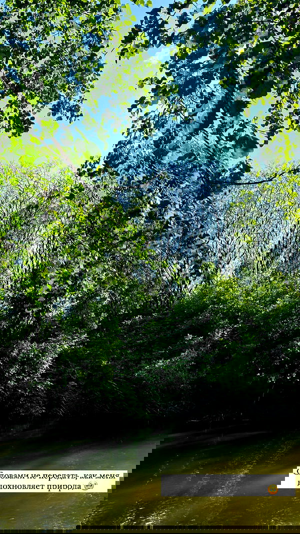 nyityam nyityam archive image