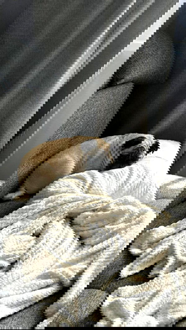 nyityam nyityam archive image