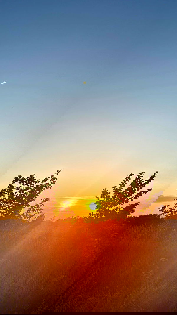 nyityam nyityam archive image