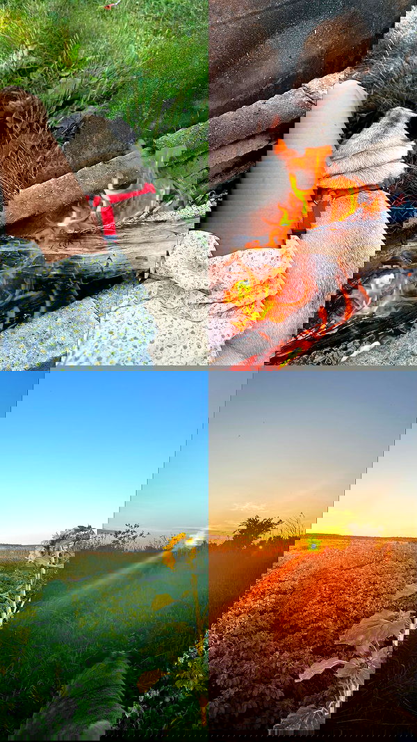 nyityam nyityam archive image