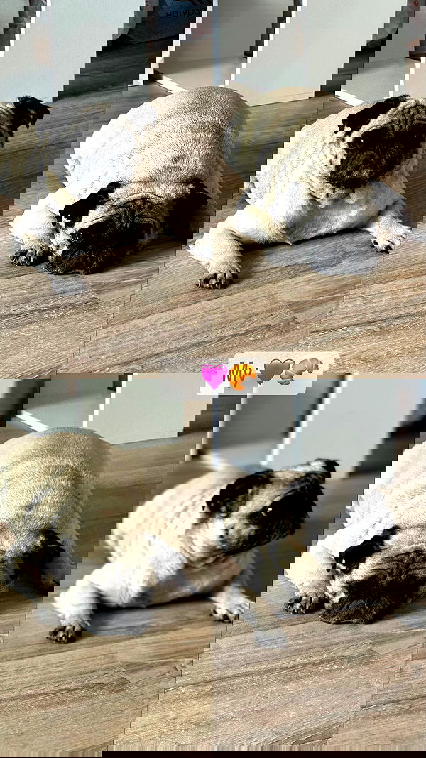 nyityam nyityam archive image