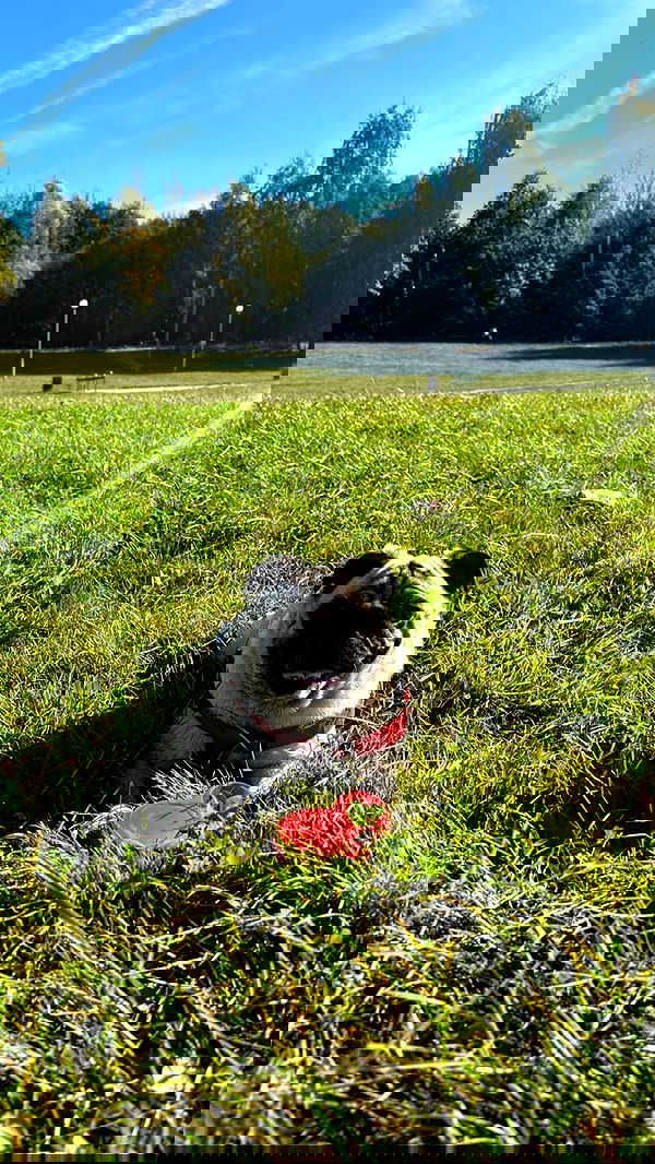 nyityam nyityam archive image