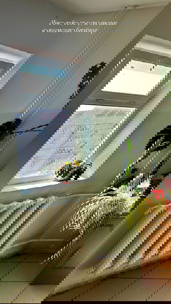 nyityam nyityam archive image