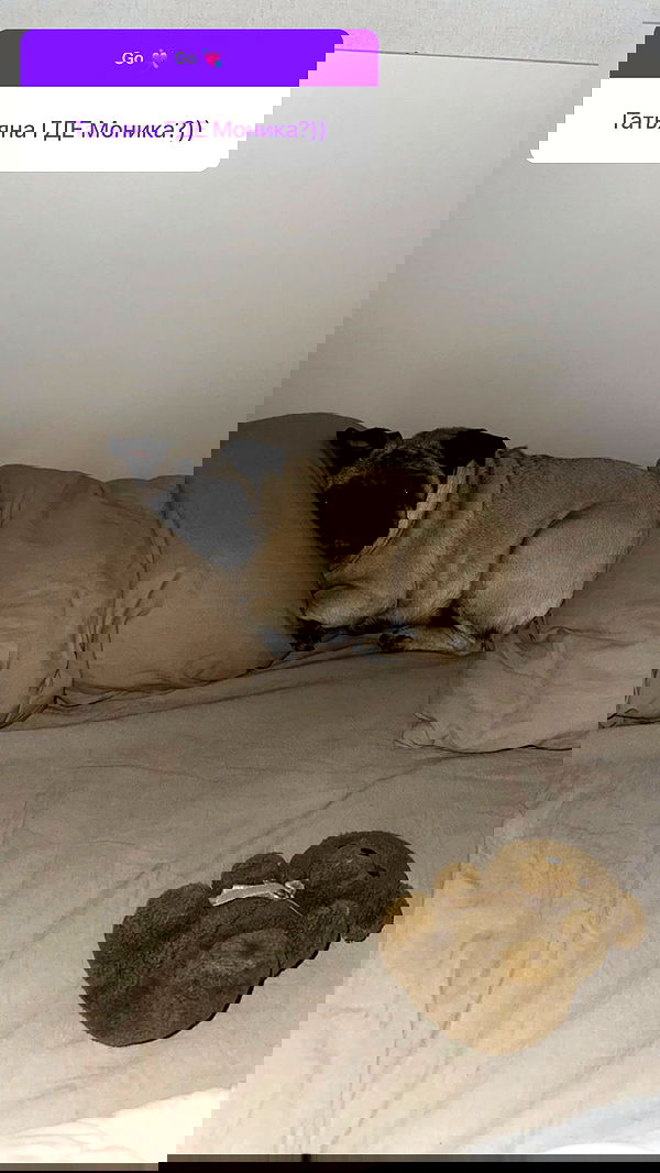 nyityam nyityam archive image