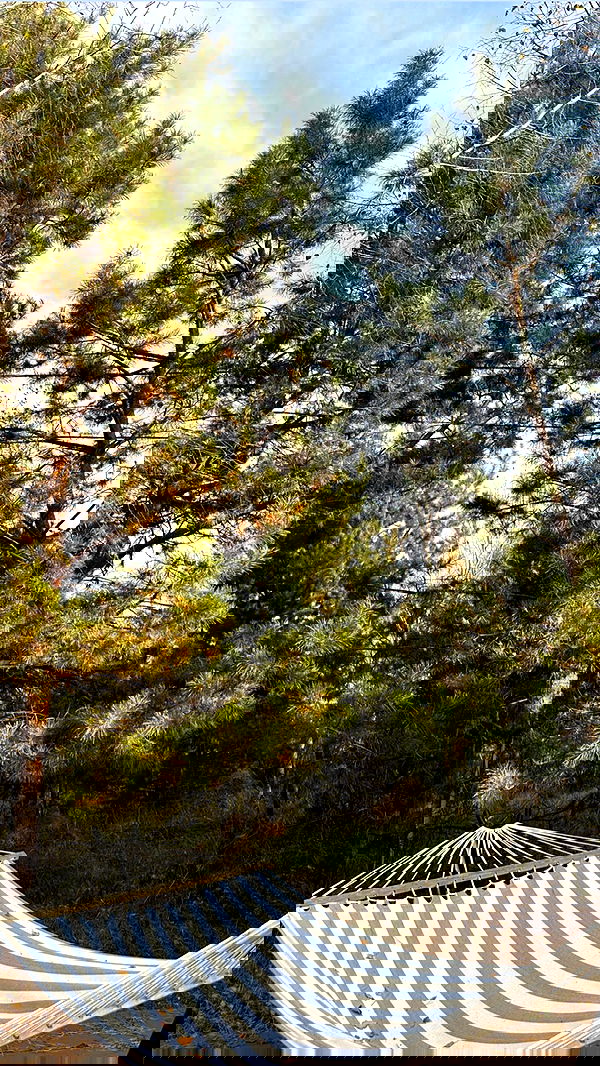 nyityam nyityam archive image