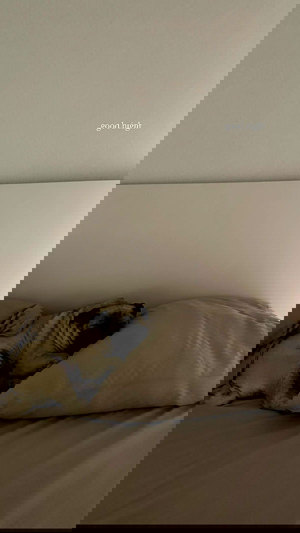 nyityam nyityam archive image