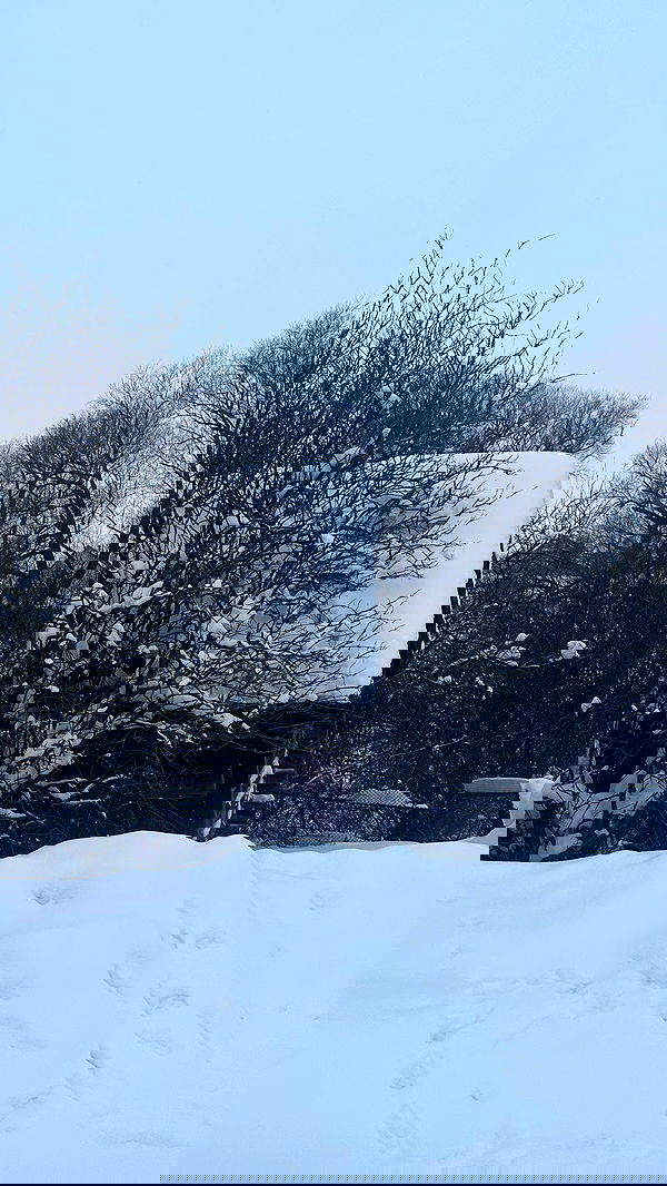 nyityam nyityam archive image