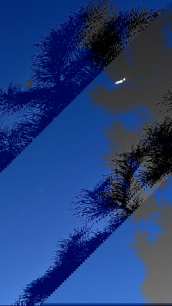 nyityam nyityam archive image