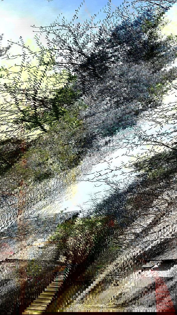 nyityam nyityam archive image