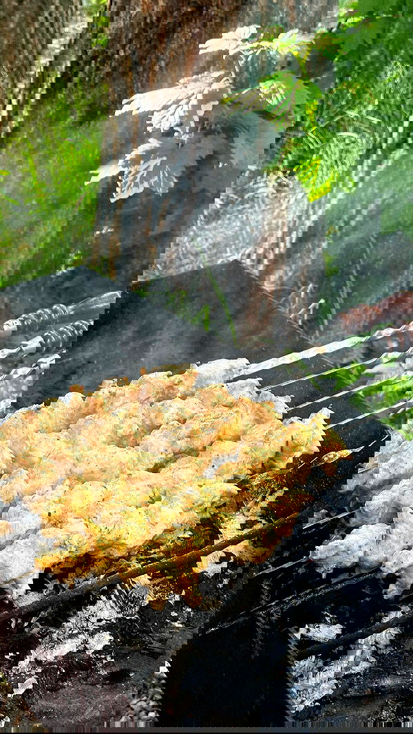 nyityam nyityam archive image