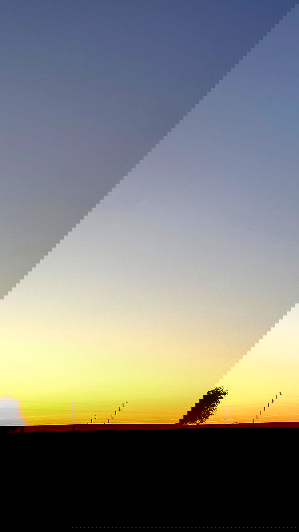 nyityam nyityam archive image