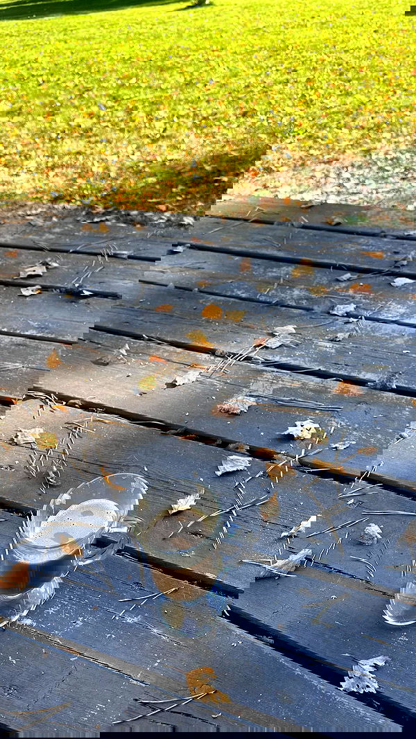 nyityam nyityam archive image