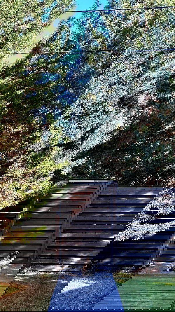 nyityam nyityam archive image