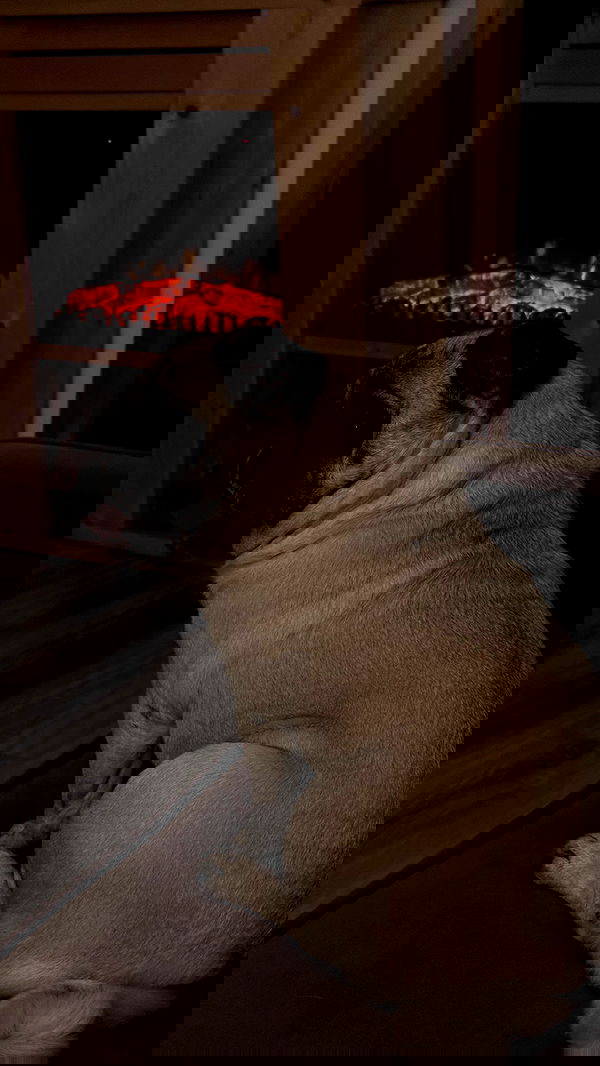 nyityam nyityam archive image