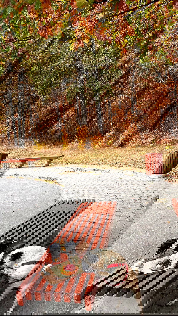 nyityam nyityam archive image