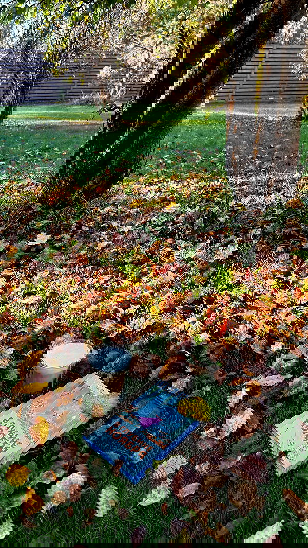 nyityam nyityam archive image