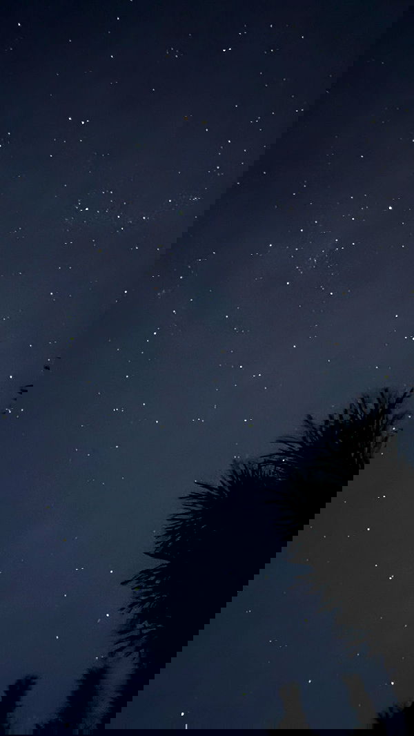 nyityam nyityam archive image