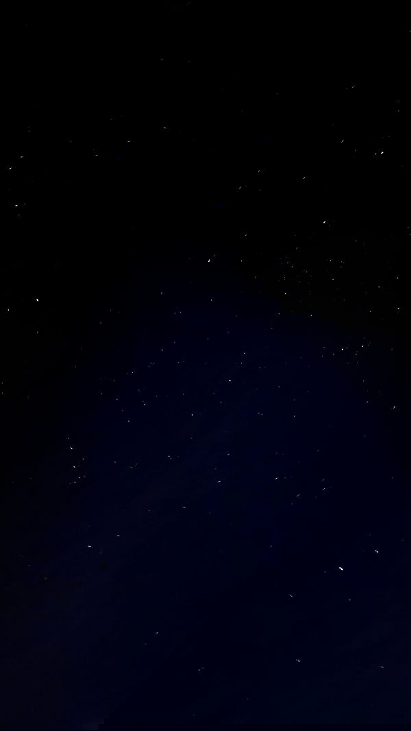 nyityam nyityam archive image