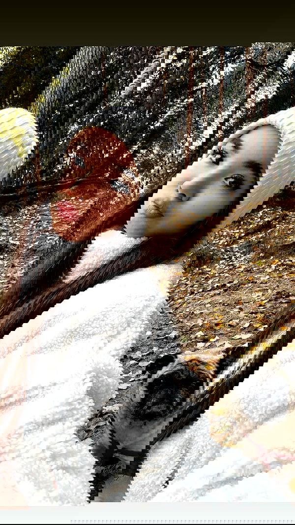 nyityam nyityam archive image