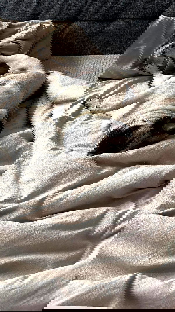 nyityam nyityam archive image