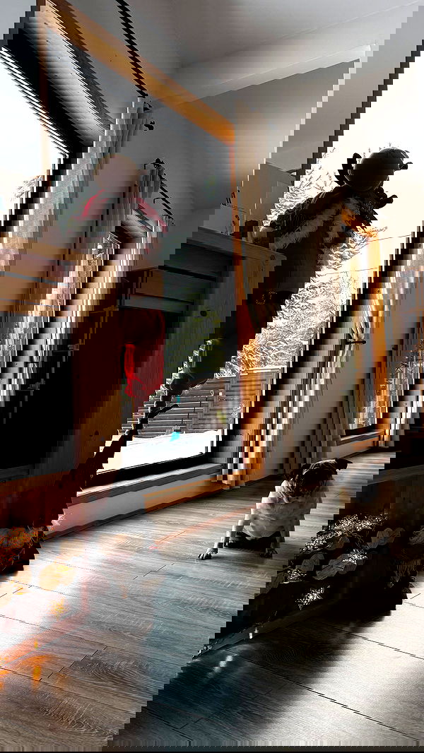 nyityam nyityam archive image