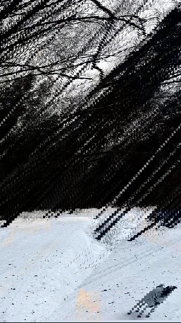 nyityam nyityam archive image