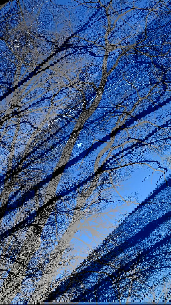 nyityam nyityam archive image