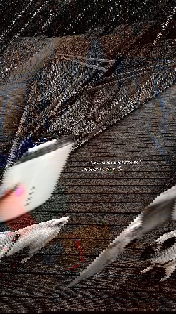 nyityam nyityam archive image