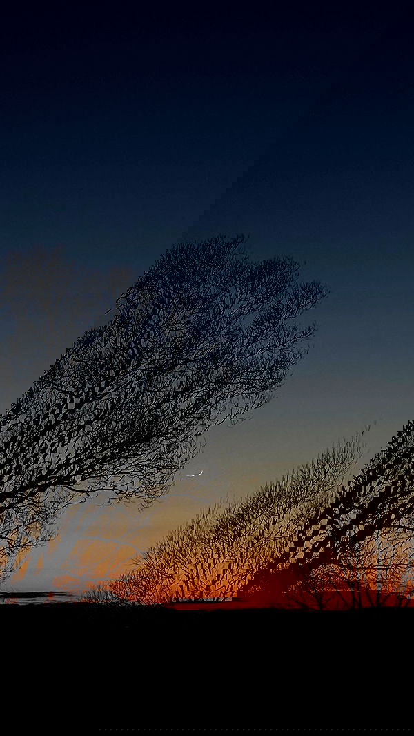 nyityam nyityam archive image