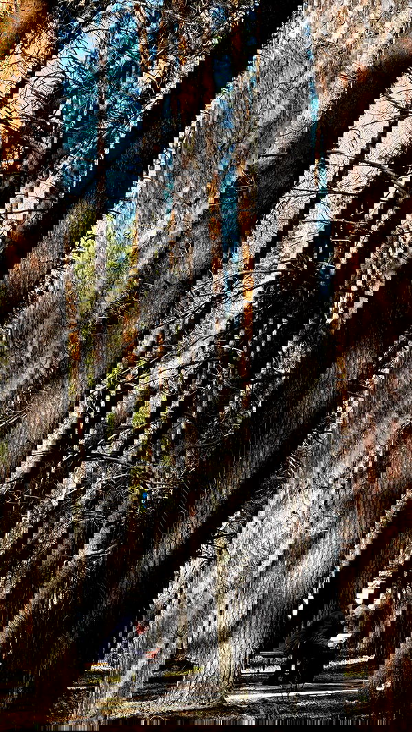 nyityam nyityam archive image