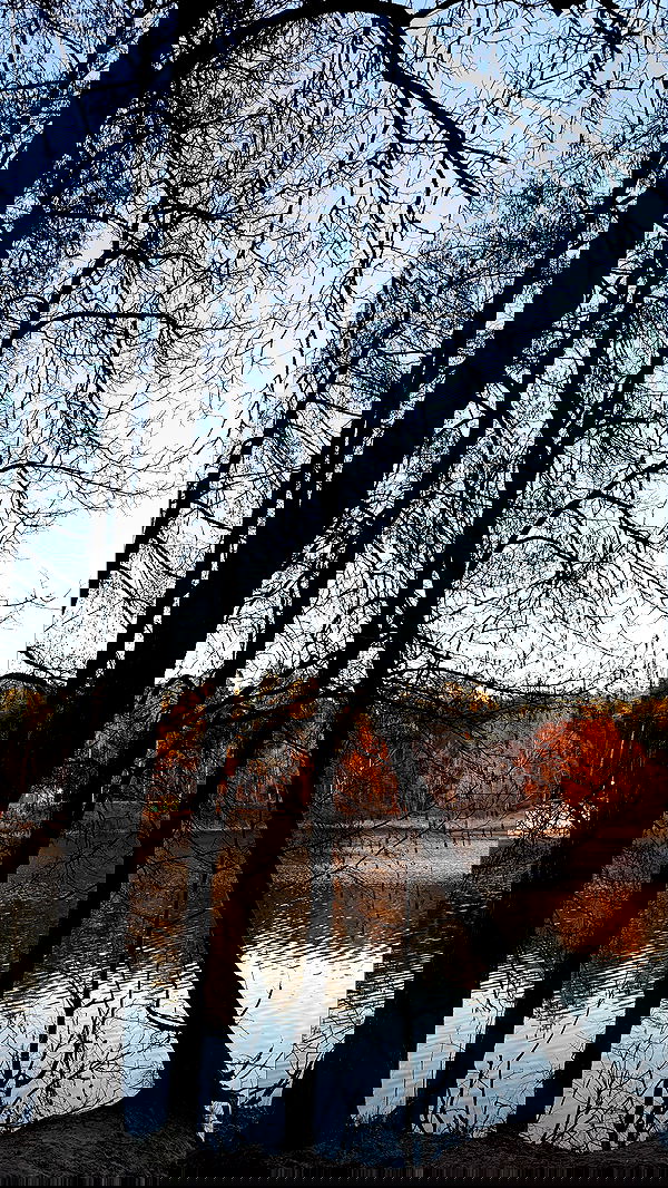 nyityam nyityam archive image