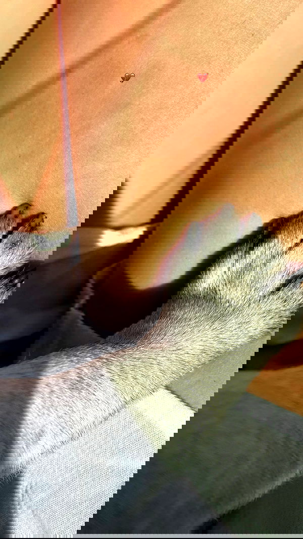 nyityam nyityam archive image