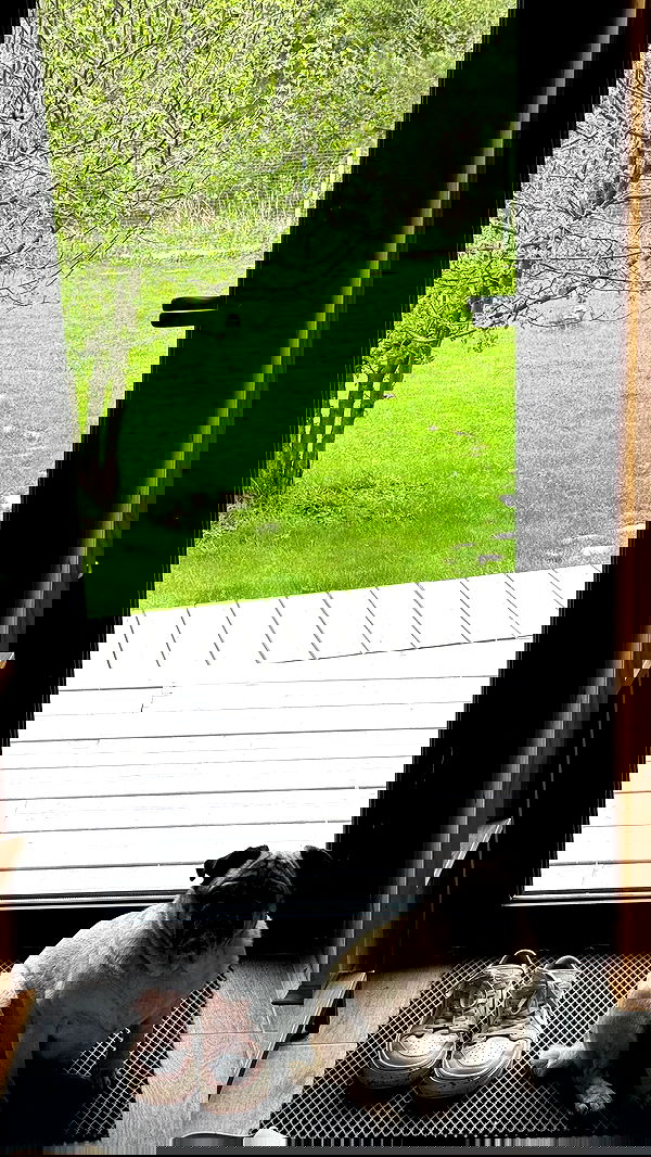 nyityam nyityam archive image