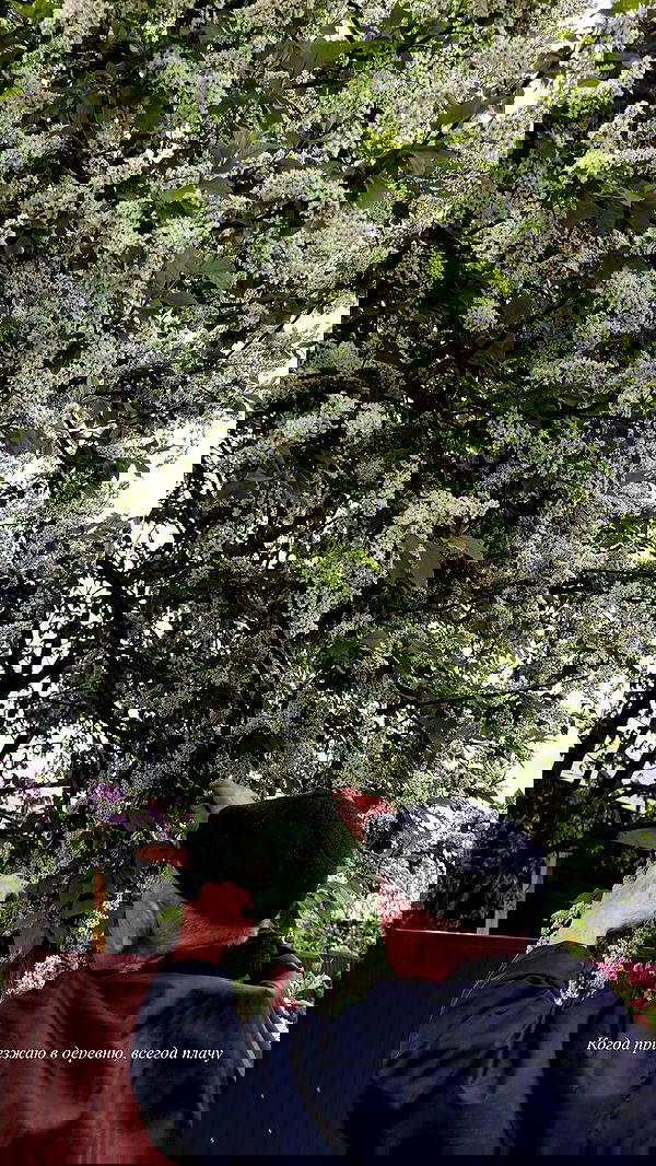 nyityam nyityam archive image