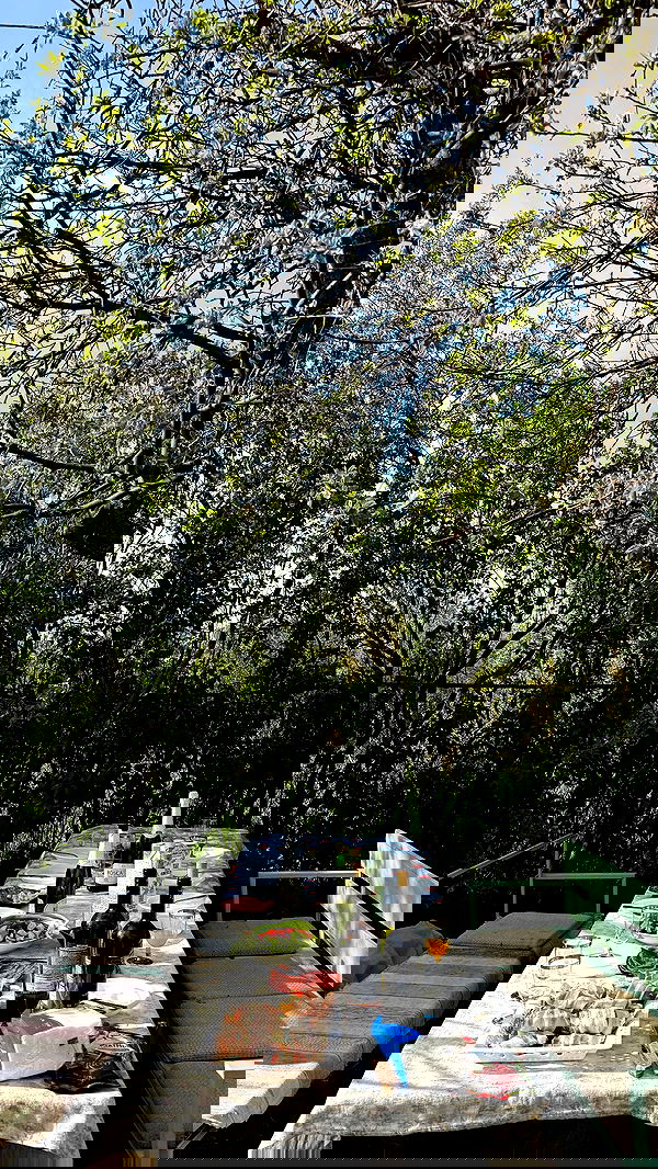 nyityam nyityam archive image